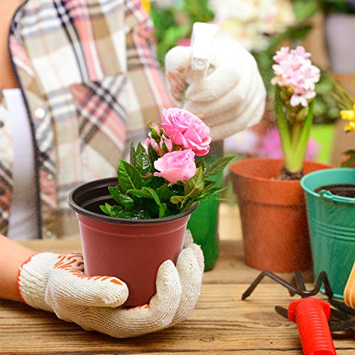 Delxo 4 Inch Nursery Pots 100 Pack Plastic Small Seed Starter Pot Red