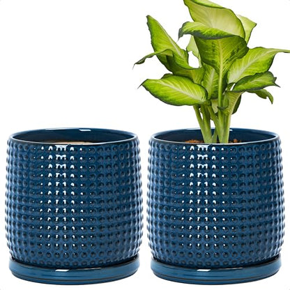 D'vine Dev 2-Pack Beaded Ceramic Pots, 6 in, Midnight Blue, 27-E-X-3 - color: Midnight Blue