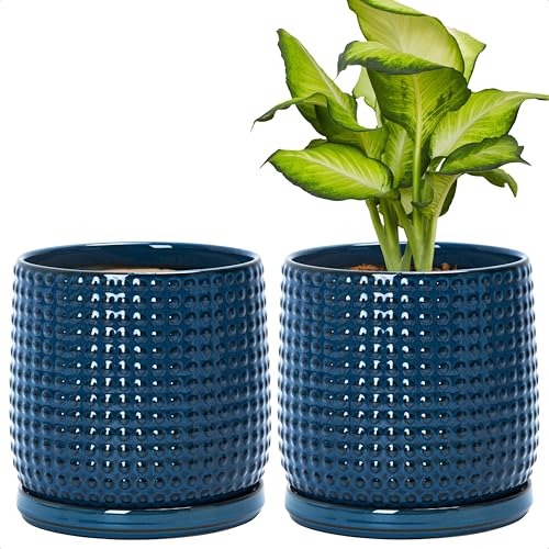 D'vine Dev 2-Pack Beaded Ceramic Pots, 6 in, Midnight Blue, 27-E-X-3 - color: Midnight Blue