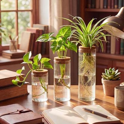6 Sets Glass Plant Propagation Vases Cork Lid, 3 Size Desktop