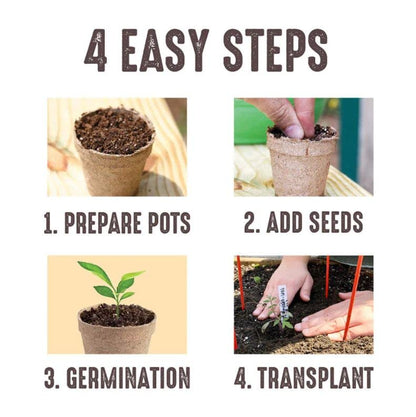Jiffy Biodegradable Peat Pots for Seedlings, 3 Inch, 100 Pack - color: 100 Pots, size: Large