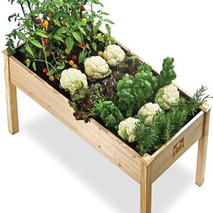 Cedar Raised Garden Bed with Legs, Outdoor Planter Box 48x24x30, 200lb
