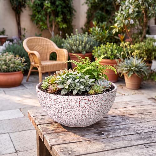 Succulent Pots 12 Inch, Ceramic Bonsai Planter, Texture Red - color: Texture Red-1, size: 12 Inch
