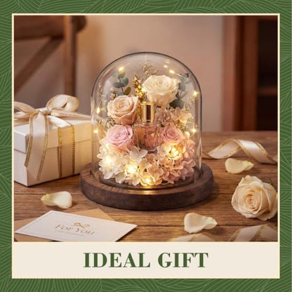 Suclain 4Pc Glass Dome Cloche with Wood Base, Brown, 4.3" X 3.8" - color: Brown, size: 4.3" X 3.8"