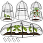 Decoroca 4 PCS Garden Cloches for Plants - Chicken Wire Plant Protectors - size: 4pcs-13.4x13in