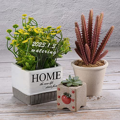 PATIKIL Acrylic Plant Tag Set, 12 Pack Reusable Rectangle, Transparent