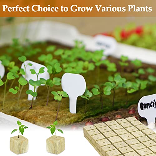 Legigo 1 Inch Rockwool Cubes Seed Starter Plugs for Hydroponics, 200 Plugs - color: 4 Sheet, size: 1" Plugs