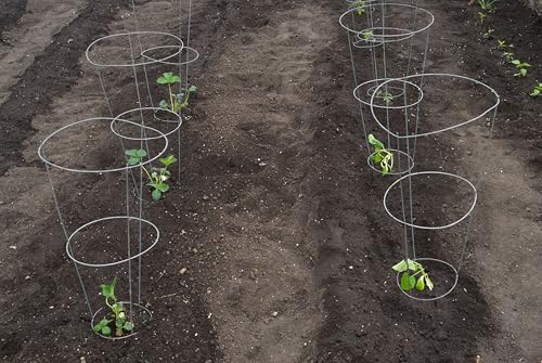 33 Inch Galvanized Steel Tomato Cage Heavy Duty Vegetable Plant Support Frame