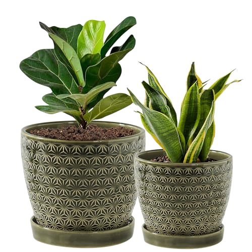 Plant Pots, Flower Pots, Planters for Indoor Plants(6.5+5.5inch), Flower Pots for Indoor Plant with Drainage Hole and Saucer, Ceramic Pots for Plants with Hole Mesh Pad,Reactive Glaze Green - color: Reactive Glaze Green