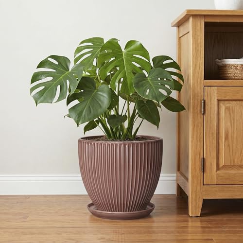 10 Inch Planter, Ceramic Flower Pot with Saucer, Rust Red - color: Rust Red, size: 10 Inch