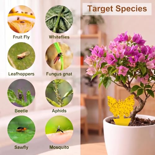 120 Pack Yellow Sticky Fungus Gnat Traps for Indoor & Outdoor Plants - size: 120 Packs