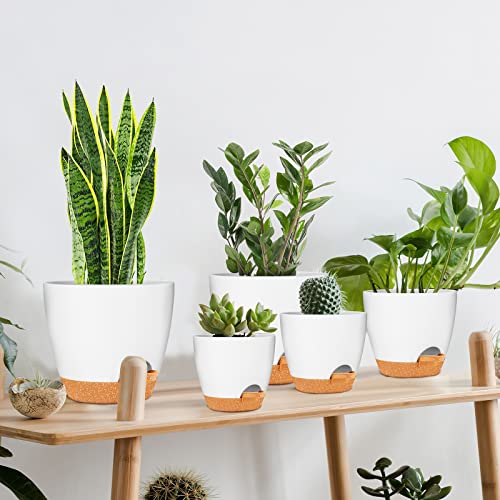 GARDIFE 5/5.5/6/6.5/7 Inch Self Watering Planters, White - color: 7-white, size: 7/6.5/6/5.5/5 inch|5 pcs