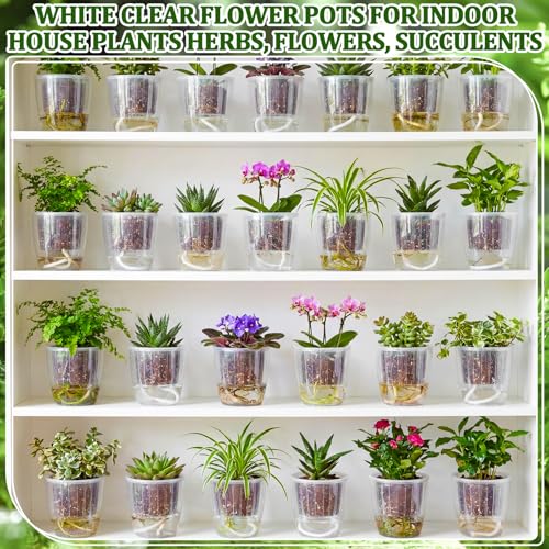Self Watering Plant Pots, 4.3'', Transparent, 18 Pcs - color: Transparent, size: 4.3''