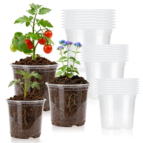 Clear Nursery Pots, 4/5/6 Inch Transparent Plastic Plant Pots with Drainage Holes, Variety Pack Seed Starting Pots, Clear Flower Pots for Indoor Outdoor Plants, 24 Packs - size: 4/5/6 Inches