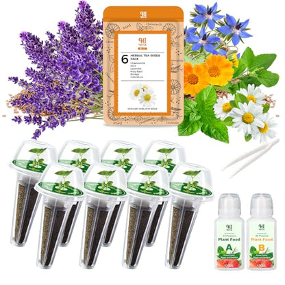 Lavender Seed Pod Kit, 8 Pod Kit (Include Seed Lavender/Chamomile/Holy Basil/Borage/Calendula/Mint) Fresh Tea Seed Pod Kit Compatible with Hydroponics - color: Lavender