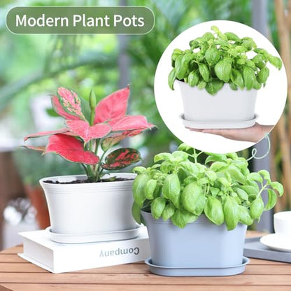 Oliz 6pk Windowsill Planters, White Plastic w/Drain Tray - Indoor/Outdoor - color: White