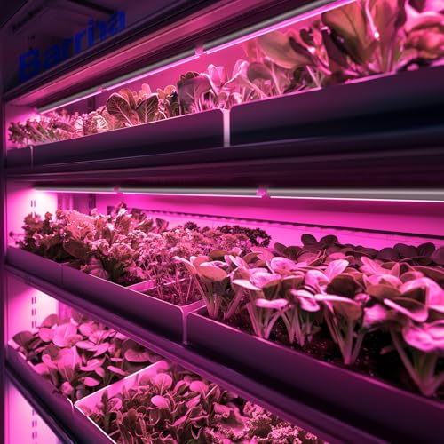 Barrina T8 LED Grow Light, 2FT Full Spectrum Plant Lights, Pink, 6 Packs - color: Pink, size: 2ft-6 Packs