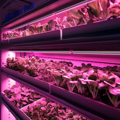 Barrina T8 LED Grow Light, 2FT Full Spectrum Plant Lights, Pink, 6 Packs - color: Pink, size: 2ft-6 Packs