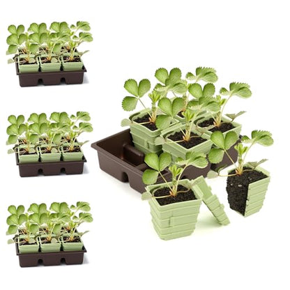 Side-Open Seed Starter Tray 4-Pack, 24 Cells Modular Design with Detachable Plant Cells, Extra-Large 2.36"x2.28" Cells, Reusable Seed Germination Kit for Indoor & Outdoor Gardening