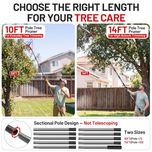 Suchtale 10FT Pole Tree Pruner for High Branch Trimming with Saw - size: 10FT