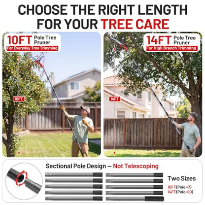 Suchtale 10FT Pole Tree Pruner for High Branch Trimming with Saw - size: 10FT