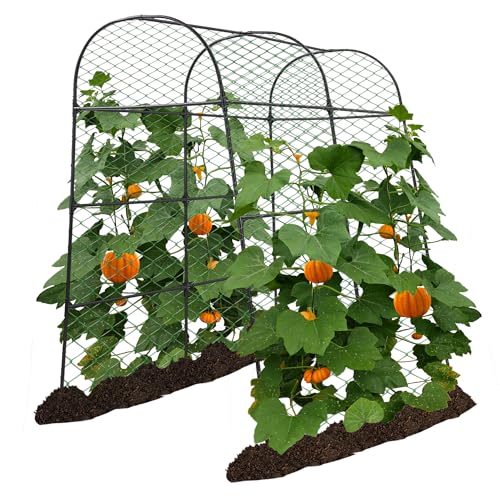 AlisisFores Garden Arch Trellis, 7.2 ft Height, Black - size: 7.2'
