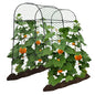 AlisisFores Garden Arch Trellis, 7.2 ft Height, Black - size: 7.2'