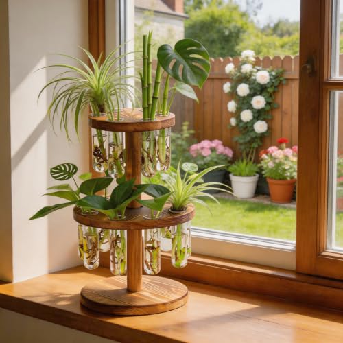Plant Propagation Station, 15 Propagation Tubes with Wooden Stand - size: Double layer