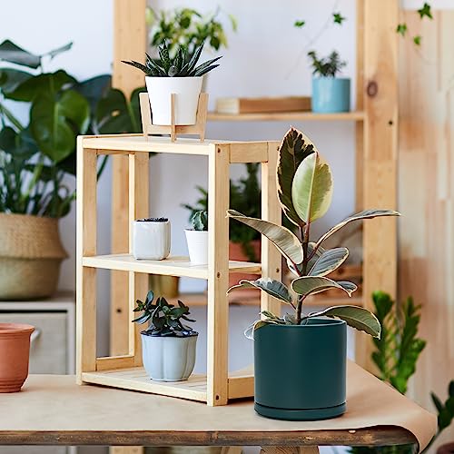 D'vine Dev 8 Inch Ceramic Planter Pot, Teal, 94-O-D-9 - color: Teal, size: Medium