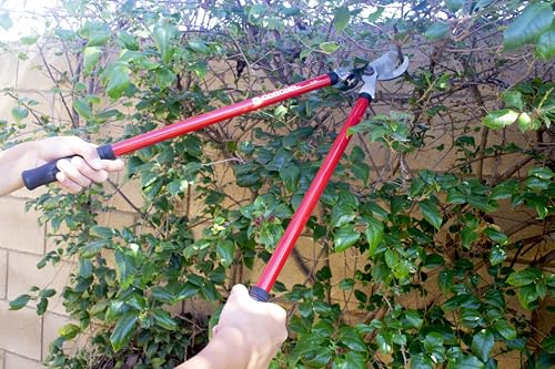 Corona SL 3310 Bypass Lopper, 24" Steel Handles, 1-1/2" Cut