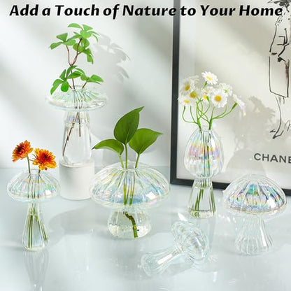 Mushroom Vase, Set of 6 Clear Glass Propagation Stations Vases - color: Clear