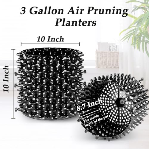 RooTrimmer 3 Gallon Air Pruning Container New Plastic Nursery Pot Fruit Vegetable Garden self-Planting pots, Size 10"x10", Black - size: 3 gallon-10P