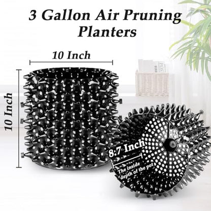 RooTrimmer 3 Gallon Air Pruning Container New Plastic Nursery Pot Fruit Vegetable Garden self-Planting pots, Size 10"x10", Black - size: 3 gallon-10P