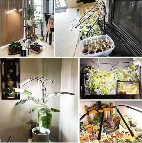 Garpsen Plant Light, 2Pack Full Spectrum, 5 Head with Tripod Stand - size: 5 Arms with Stand(2Pack)