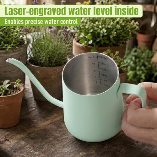 Doseno Green Small Watering Can for Seedlings & Indoor Plants, 12 oz - size: 350ml/12oz-Green