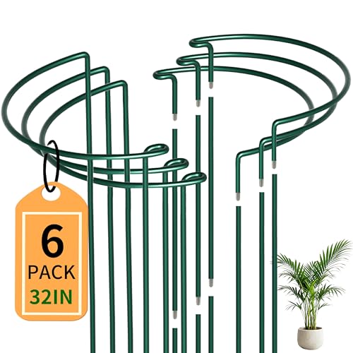 6-Pack Garden Plant Support Cages,14"Diax32"H Heavy Duty Interlinked Half Round Peony Support Rings,Metal Plant Support Stakes for Peony,Tomato,Hydrangea,Rose,Indoor & Outdoor Garden Plant Supports - size: 14"Dx32"H-6PCS