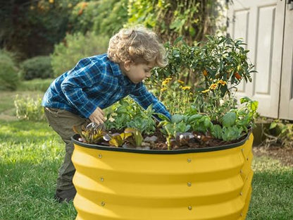 Plant & Plot Galvanized Raised Garden Beds Outdoor // 4×2×1 ft (2-Pack) Planter Raised Beds for Gardening, Vegetables, Flowers (Yellow) // Large Metal Garden Box - color: Yellow
