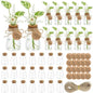 30PCS Plant Propagation Stations 3.35'' Plastic Propagation Jars Clear Vase - size: 30 Pack