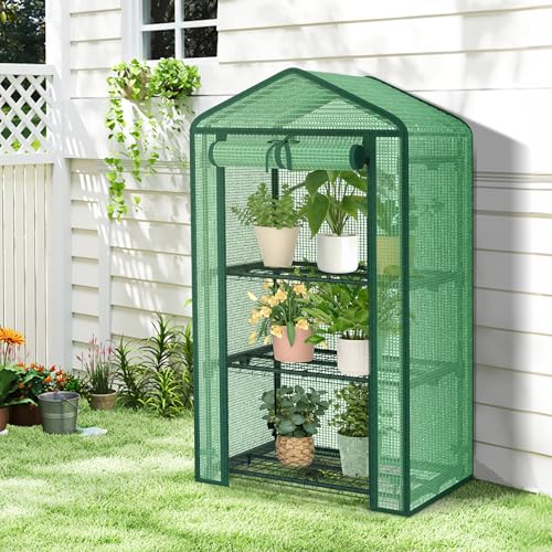 AlisisFores 3-Tier Greenhouse, PE Cover, 4ft Tall - style: 3-Tier