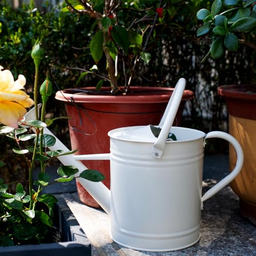 1 Gallon Matte Cream Metal Watering Can, Removable Spout - color: Matte Cream, size: 1 Gallon