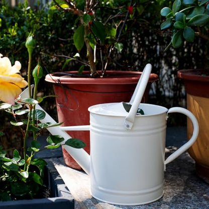 1 Gallon Matte Cream Metal Watering Can, Removable Spout - color: Matte Cream, size: 1 Gallon