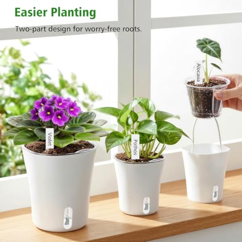 3 Inch Self Watering Pots for Indoor Plants, 10 Pack Clear Nursery Pots with Drainage & Water Level Indicator, Plant Pots for African Violet, Flowers, Herbs - size: 3 Inch