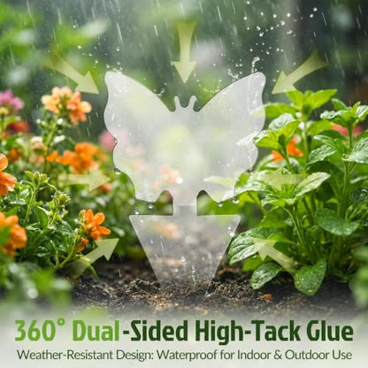 100 Pack Gnat Traps, Double Sided Plant Sticky Traps for Indoor Bug, Clear - color: Clear