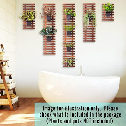 ShopLaLa Wall Planter (3 Pack) Wooden Hanging Planter for Indoor Plants - size: 3-pc set