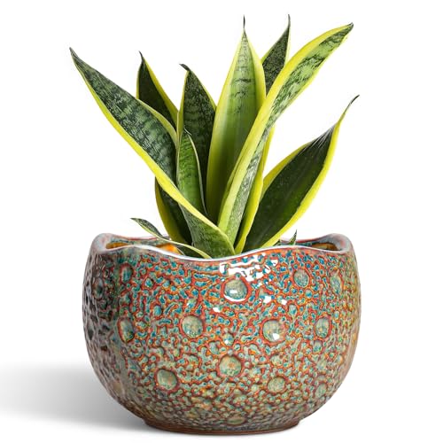 8 Inch Plant Pot - Ceramic Planter for Indoor Outdoor Plants, Unique Pots for Plants with Drainage Hole and Plug, Round Planter, Garden Decor, Gifts for Plant Lovers, Speckled-Brown - color: Speckled-brown, size: 8.2 Inch