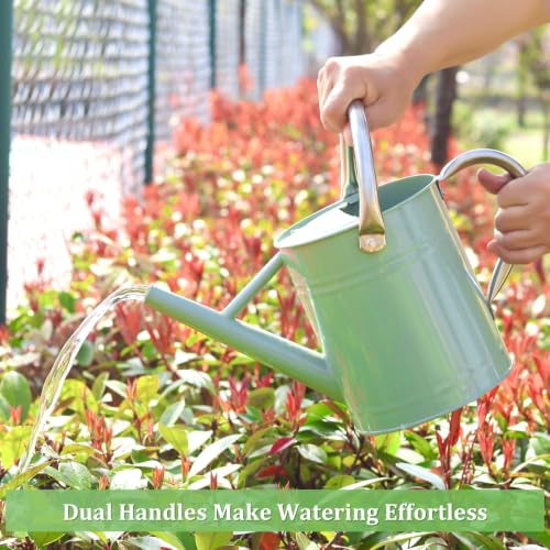 1 Gallon Watering Can for Outdoor&Indoor Plants - color: Cream Green