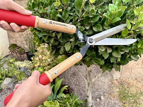 Corona HS 6960 Forged Hedge Shear, 10-Inch Blade