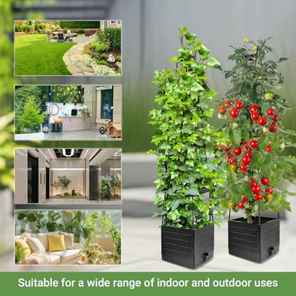 2 Pack Tomato Planter with Trellis 57 Inch Self Watering Pots Cage Boxes