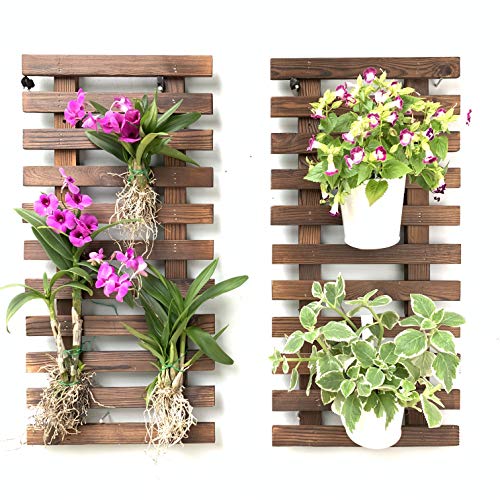 ShopLaLa Wall Planter (60cm, 2 Pack) Hanging Planters for Indoor Plants - size: 60cm (23.6") x 2