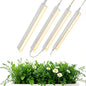 T5 1FT 0.3M 6W×4 Warm Light 3000K Grow Light Tubes,Full Spectrum LED Grow Lights,6W Energy Efficient,Plug & Play,for Hydroponics/Soil Seedlings Vegetables Herbs Flower (4 Packs) - color: Warm Light